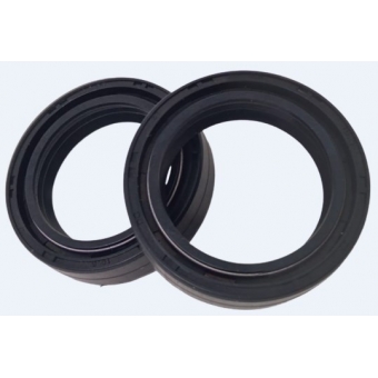 Retentor de Bengala- CG150, Strada, Bros. Pct com 10